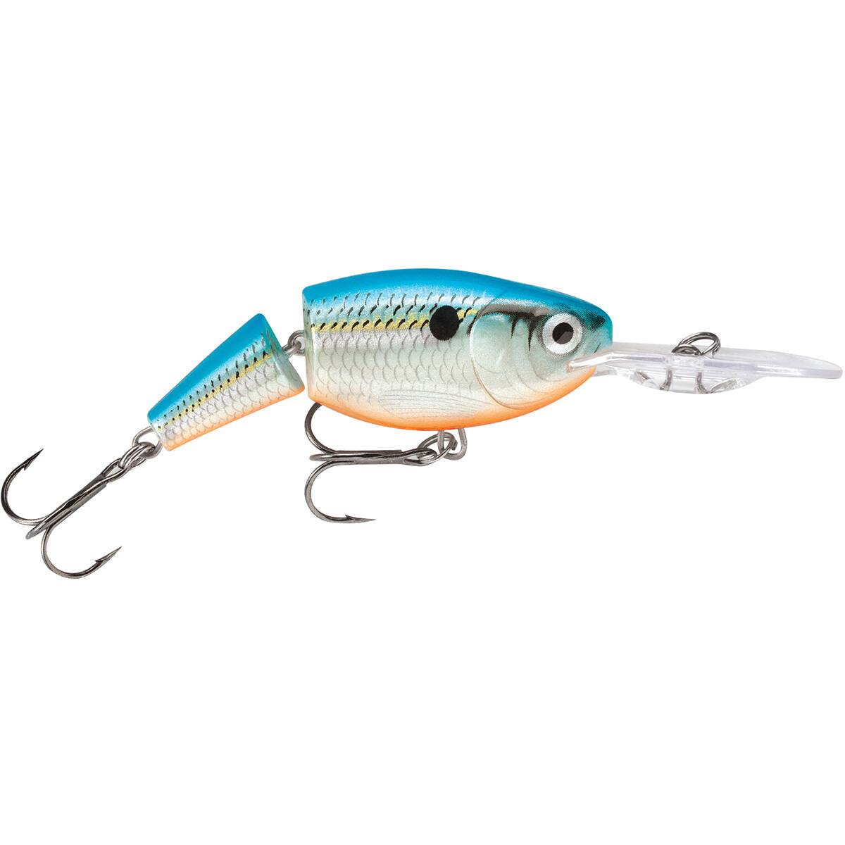 Blue Shad