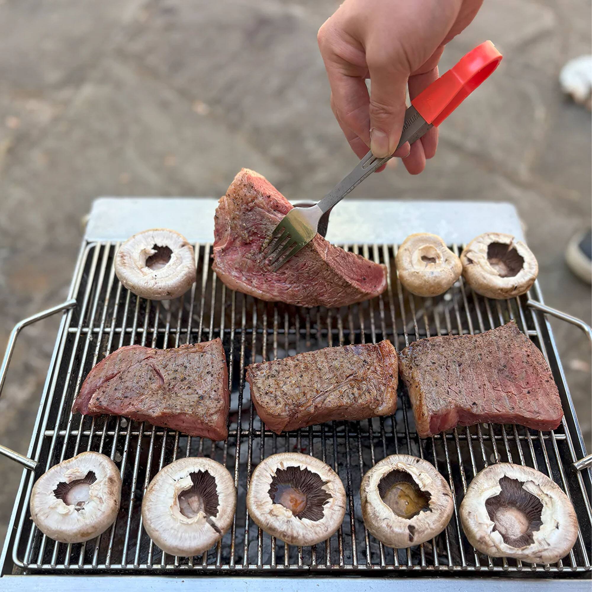 Alt View 3. TOAKS - TOAKS Fireplace Grill Attachment.