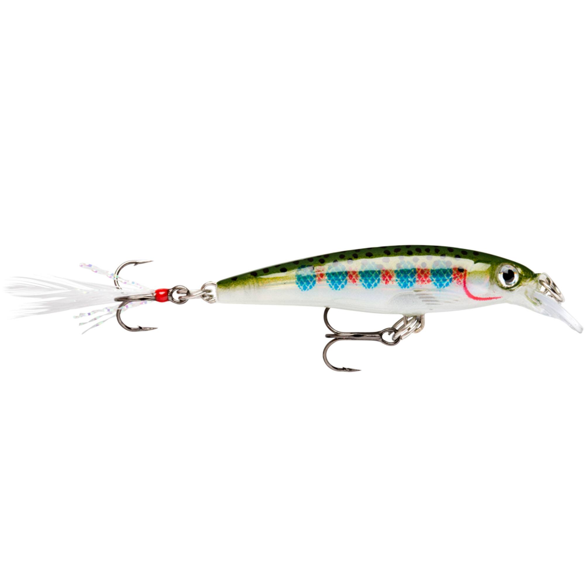 Rainbow Trout