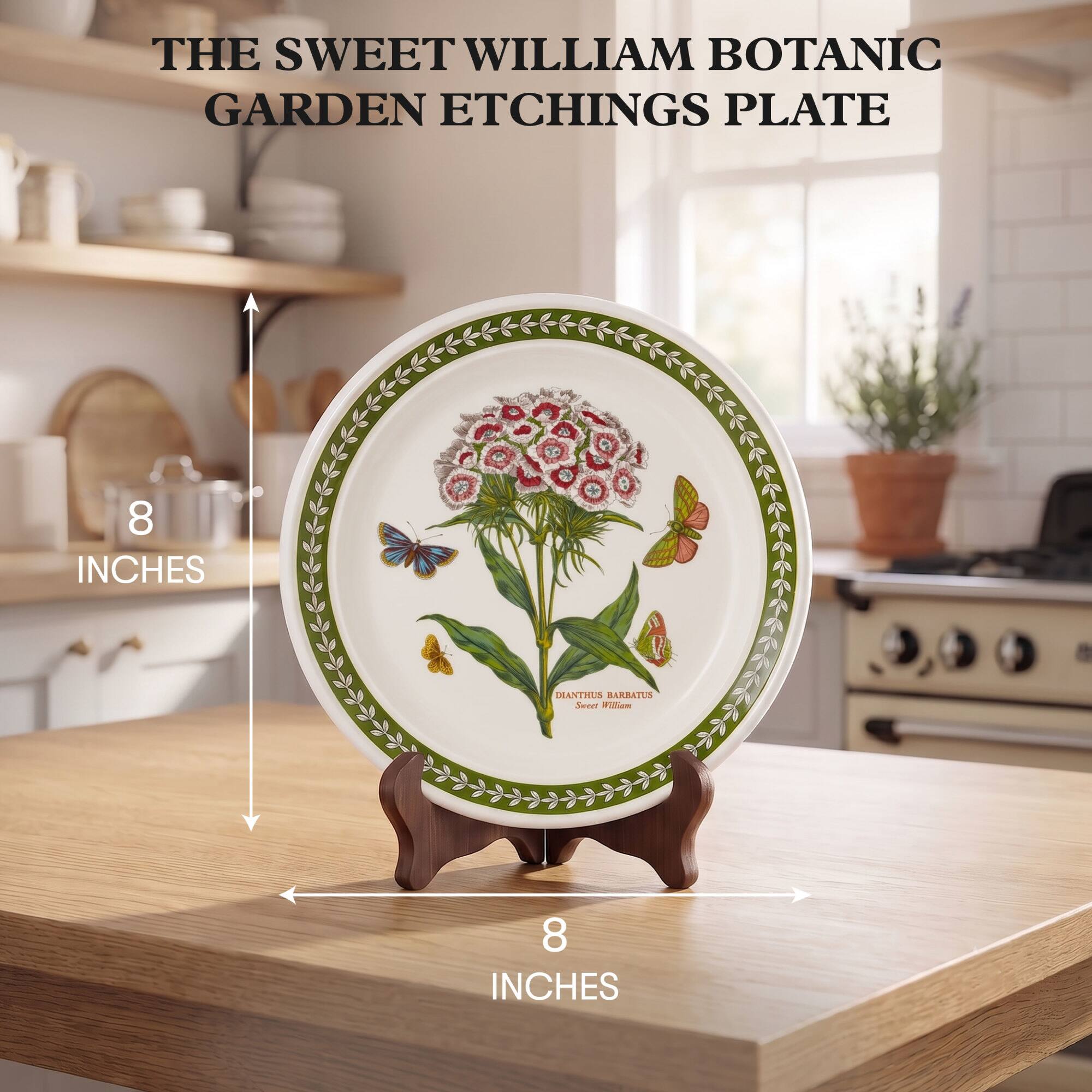THE SWEET WILLIAM BOTANIC GARDEN ETCHINGS PLATE  
8 INCHES  
DIANTHUS BARBATUS Sweet William  
8 INCHES