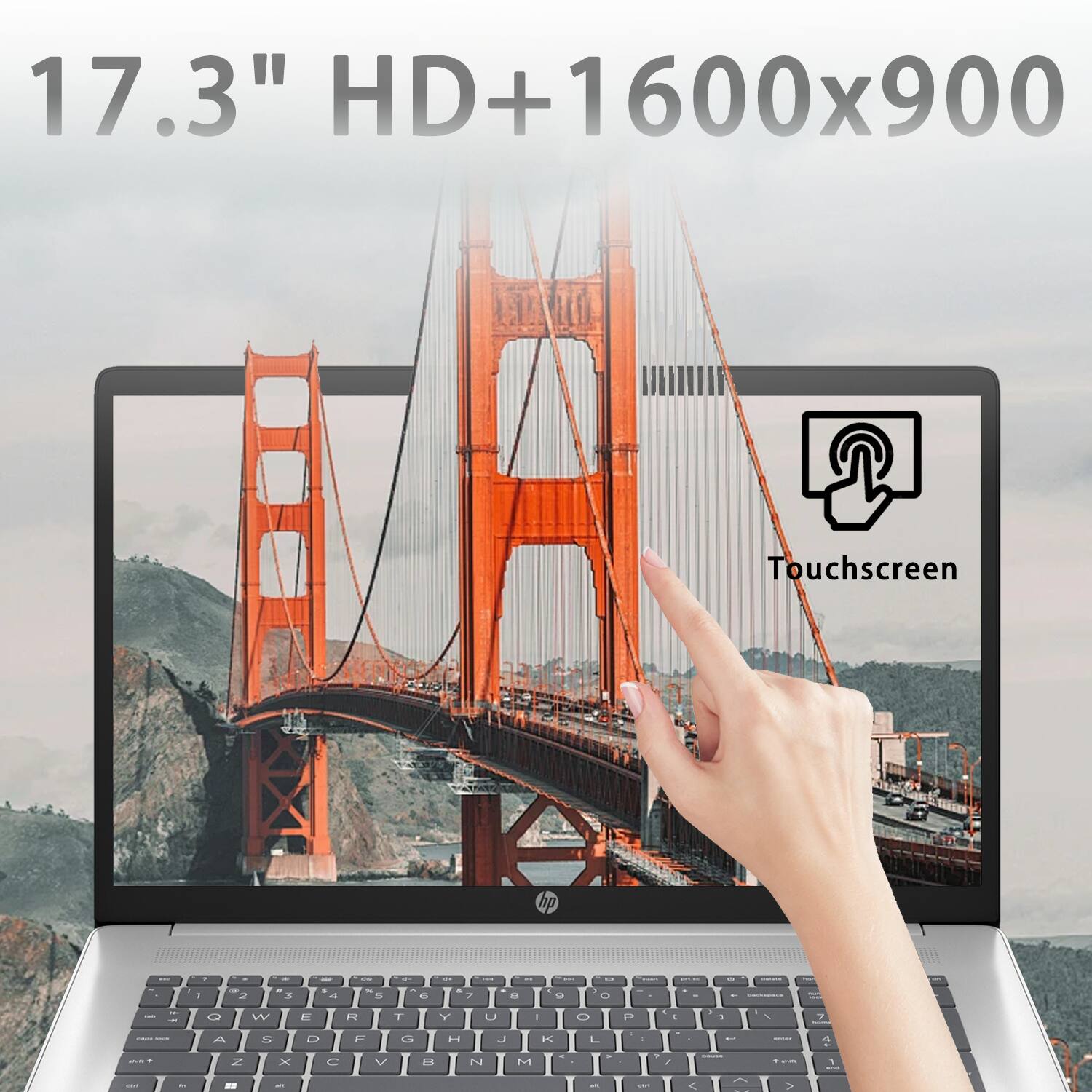17.3" HD+ 1600x900  
Touchscreen