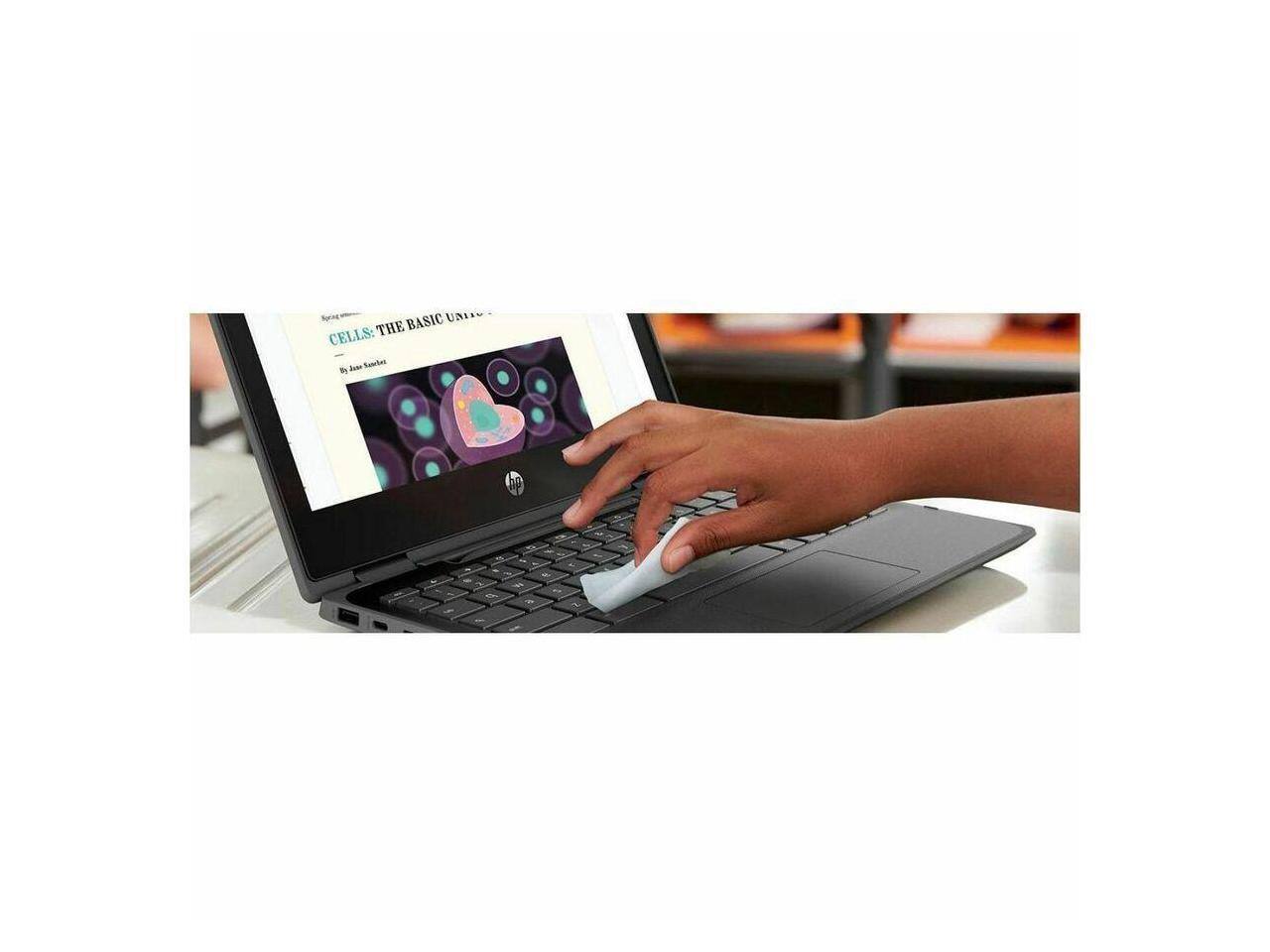 BASIC UNIT CELLS: THE BASIC UNITS