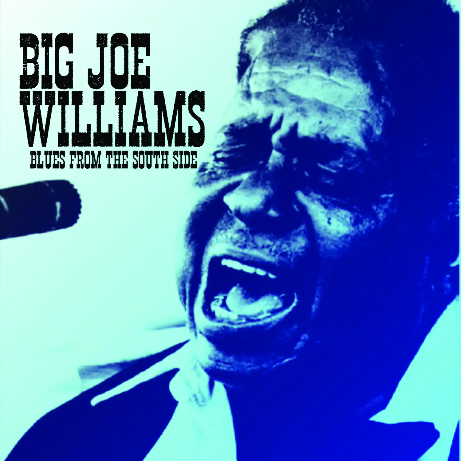 BIG JOE WILLIAMS  
BLUES FROM THE SOUTH SIDE