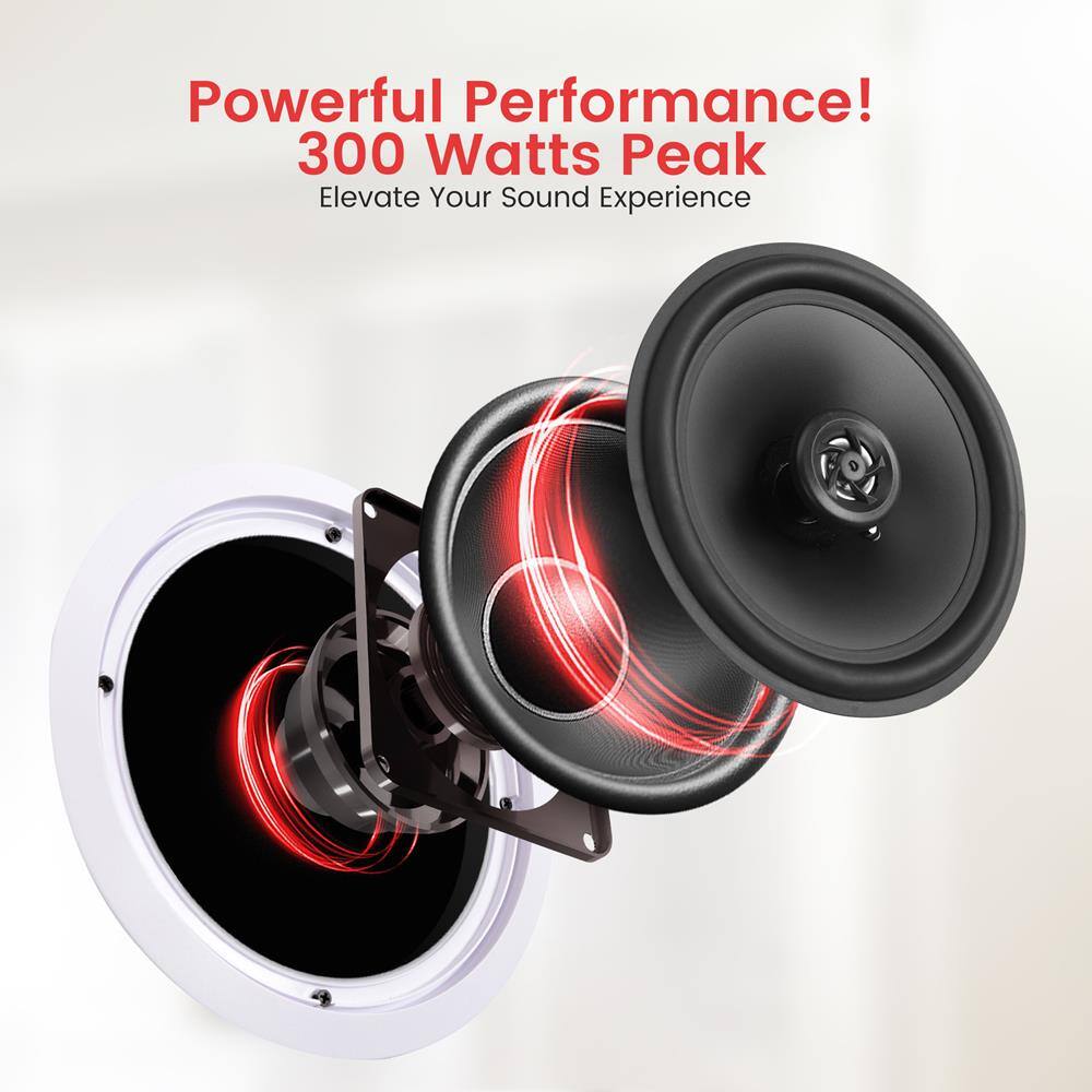 Powerful Performance!  
300 Watts Peak  
Elevate Your Sound Experience