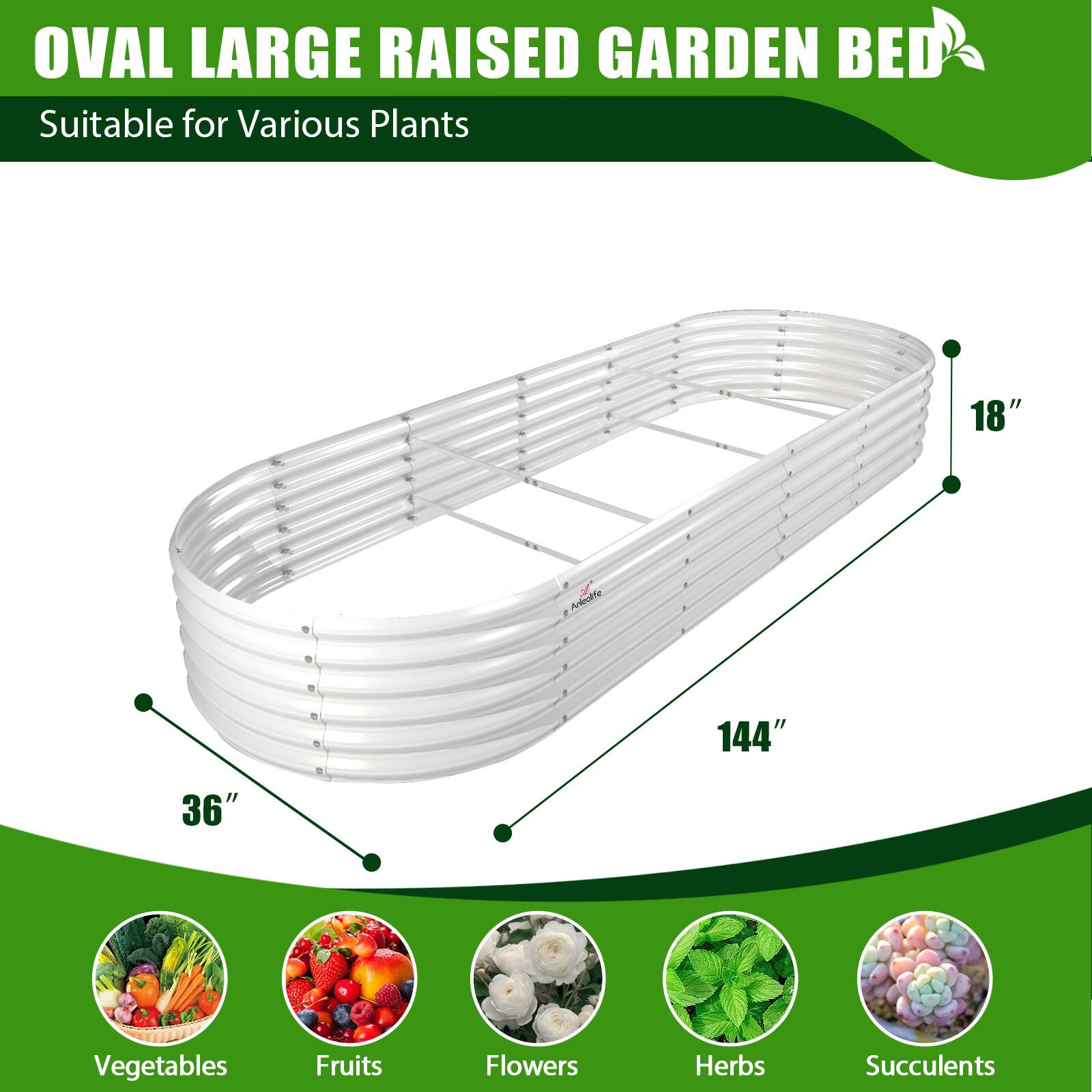 OVAL LARGE RAISED GARDEN BED  
Suitable for Various Plants  

18"  
36"  
144"  

Vegetables  
Fruits  
Flowers  
Herbs  
Succulents