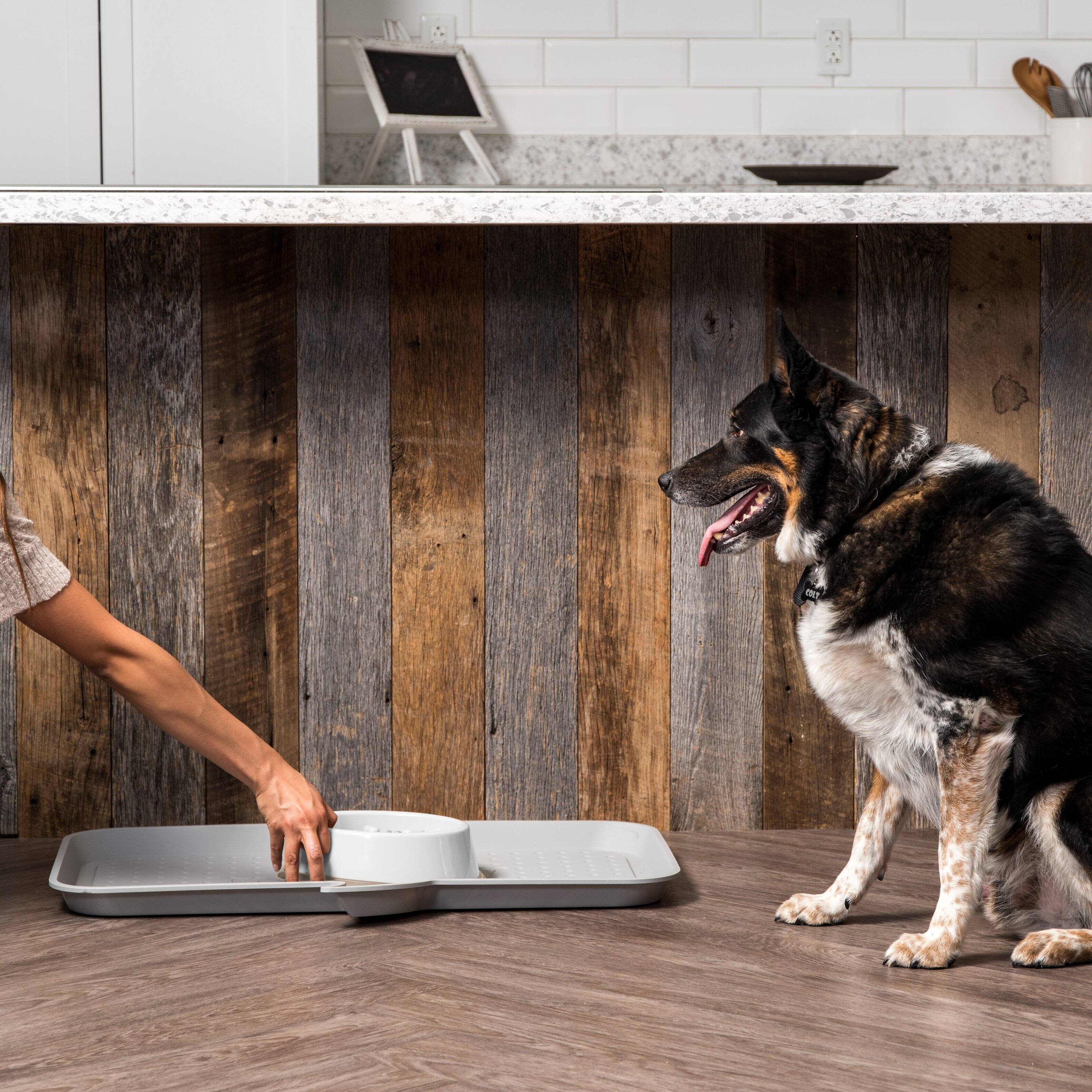 Alt View 2. IRIS USA - IRIS USA 2Cup/4Cup Slow Feeder Dog Bowl for Pets - White/Beige.