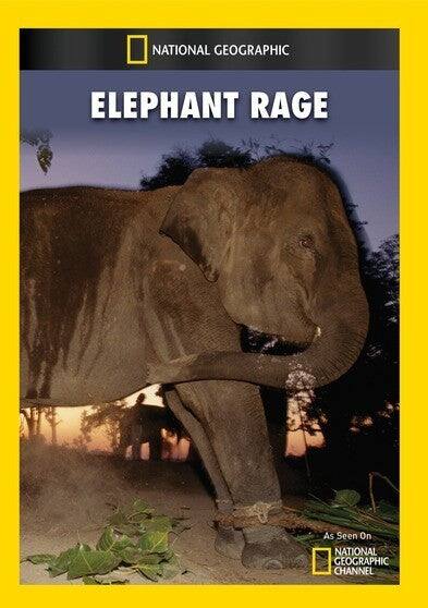Elephant Rage - DVD