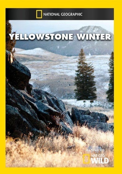Yellowstone Winter - DVD