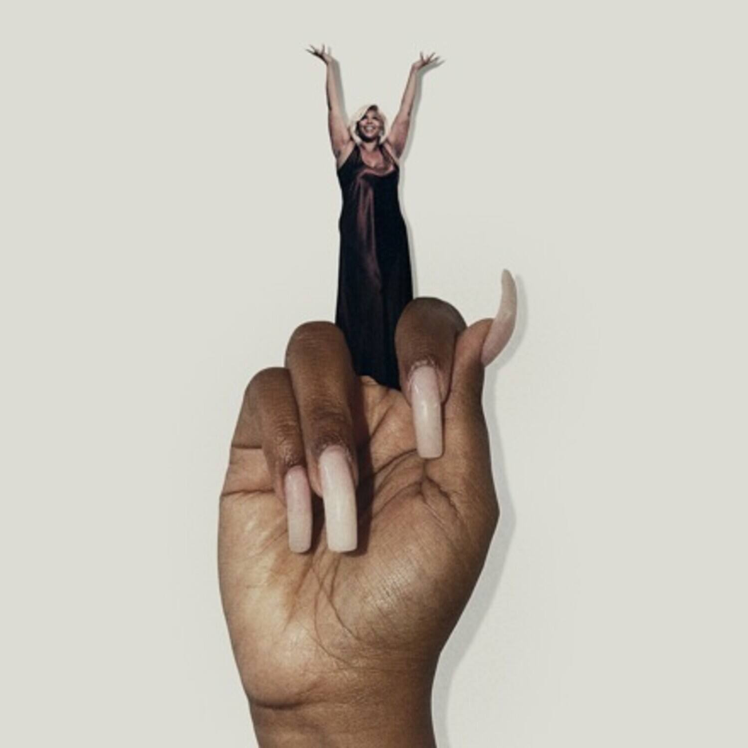 Lizzo - B****   - VINYL LP price history on PriceWatchPro