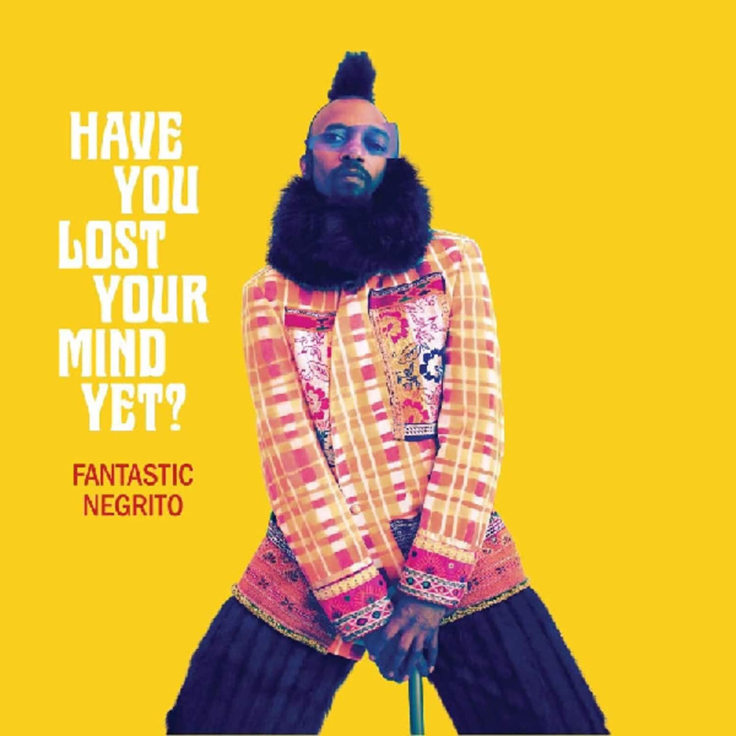Fantastic Negrito - Have You Lost Your Mind Yet   - COMPACT DISCS [CD] price history on PriceWatchPro