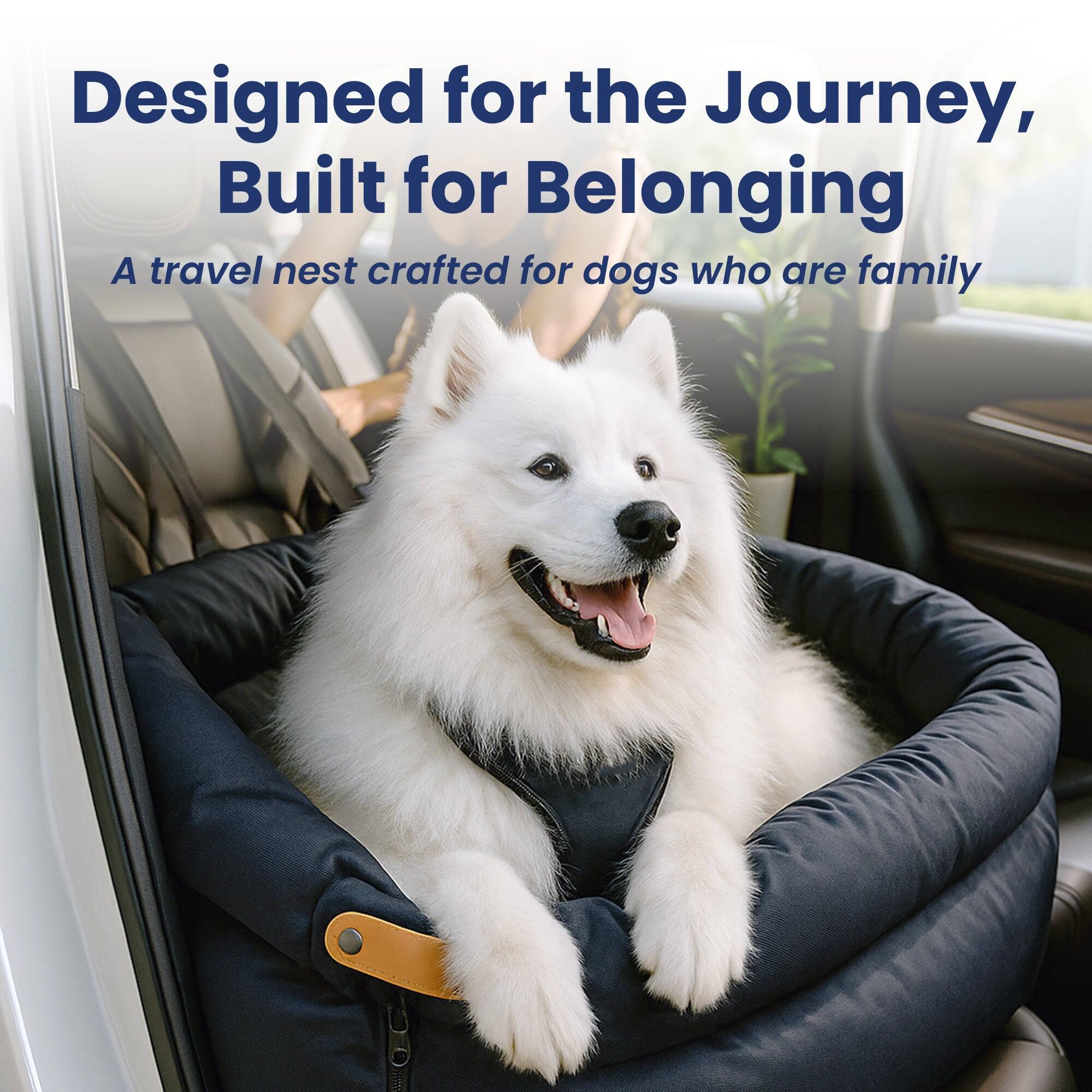 Designed for the Journey, Built for Belonging  
A travel nest crafted for dogs who are family
