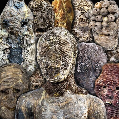 Front. Shadow Swamps [LP].