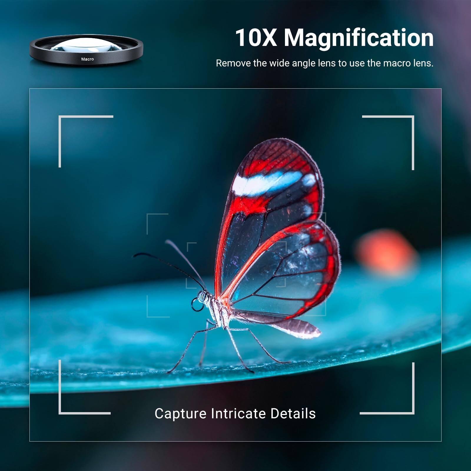 10X Magnification  
Remove the wide angle lens to use the macro lens.  
Capture Intricate Details