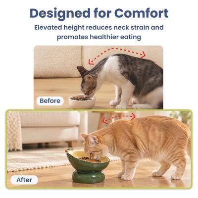 Designed for Comfort  
Elevated height reduces neck strain and promotes healthier eating  

Before  
After