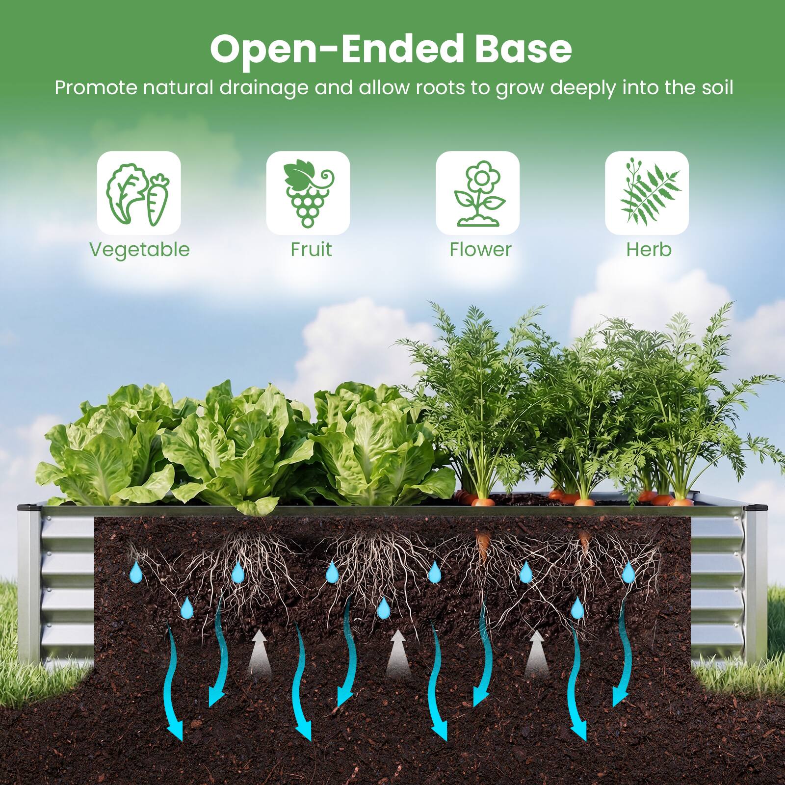 Open-Ended Base  
Promote natural drainage and allow roots to grow deeply into the soil  

- Vegetable  
- Fruit  
- Flower  
- Herb