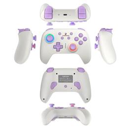 Anbernic - RG P01 Wireless Game Controller with Hall Joysticks RGB Lights and 3-Mode Connection for PC Steam Switch Android iOS - White