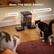 Mew, The Meal Awaits!
10s Record
Kitty, Juddy, time to eat~
