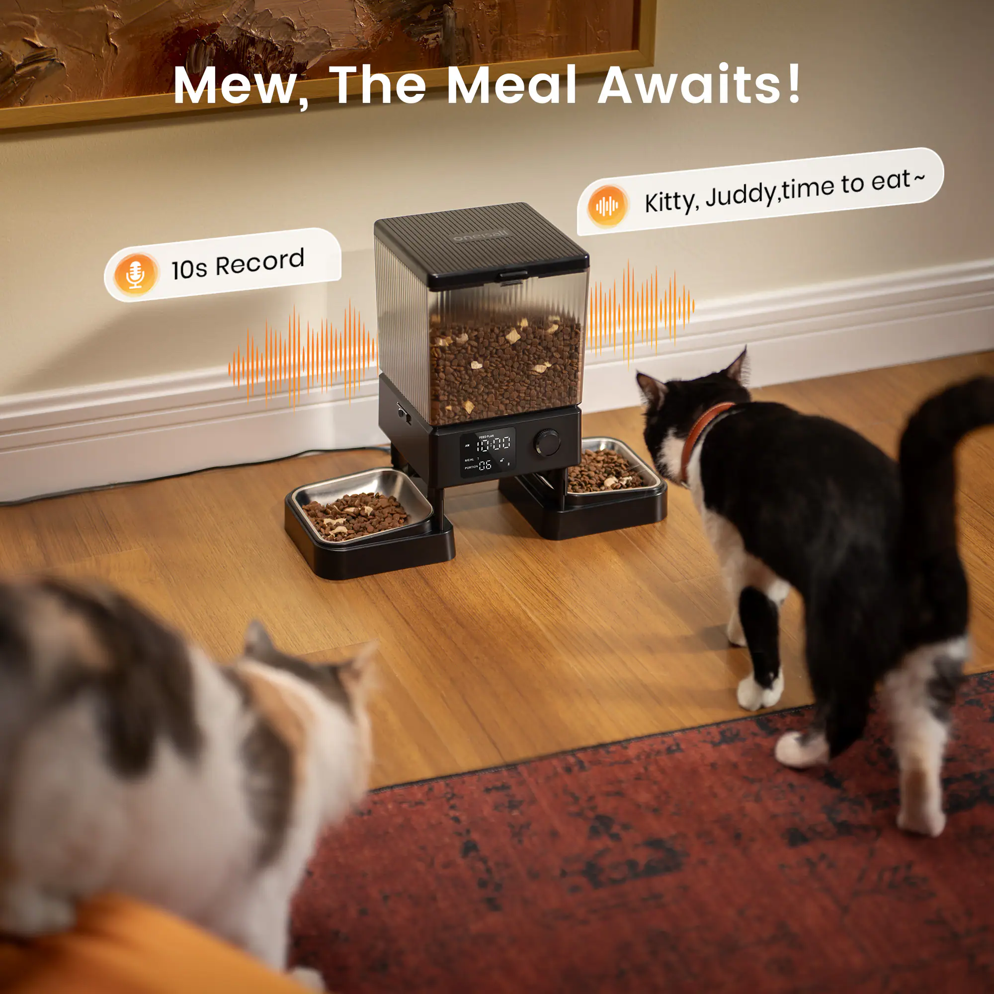 Mew, The Meal Awaits!  
10s Record  
Kitty, Juddy, time to eat~