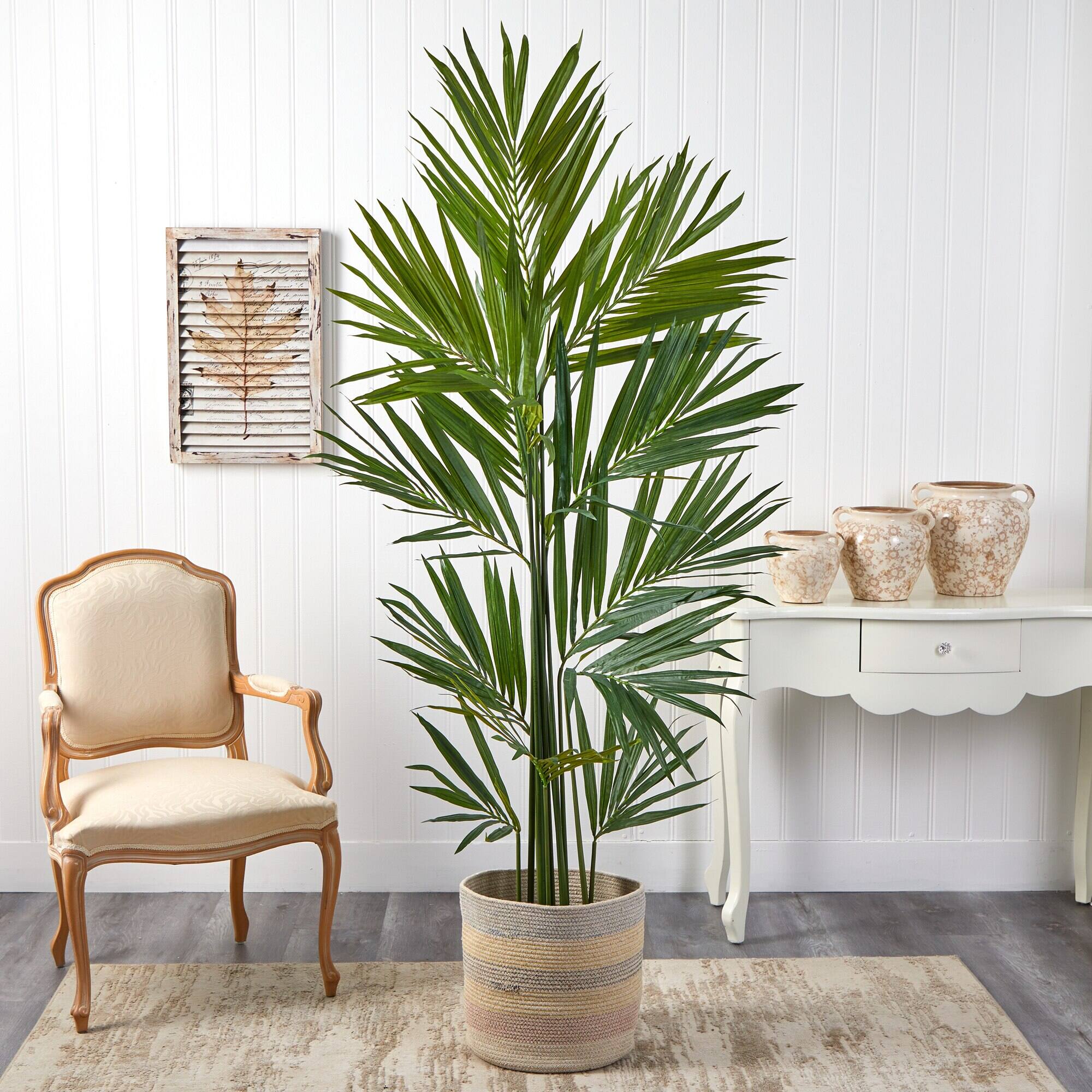 Left. BreeBe - 7' Kentia Palm in Handmade Natural Cotton Planter - Green.