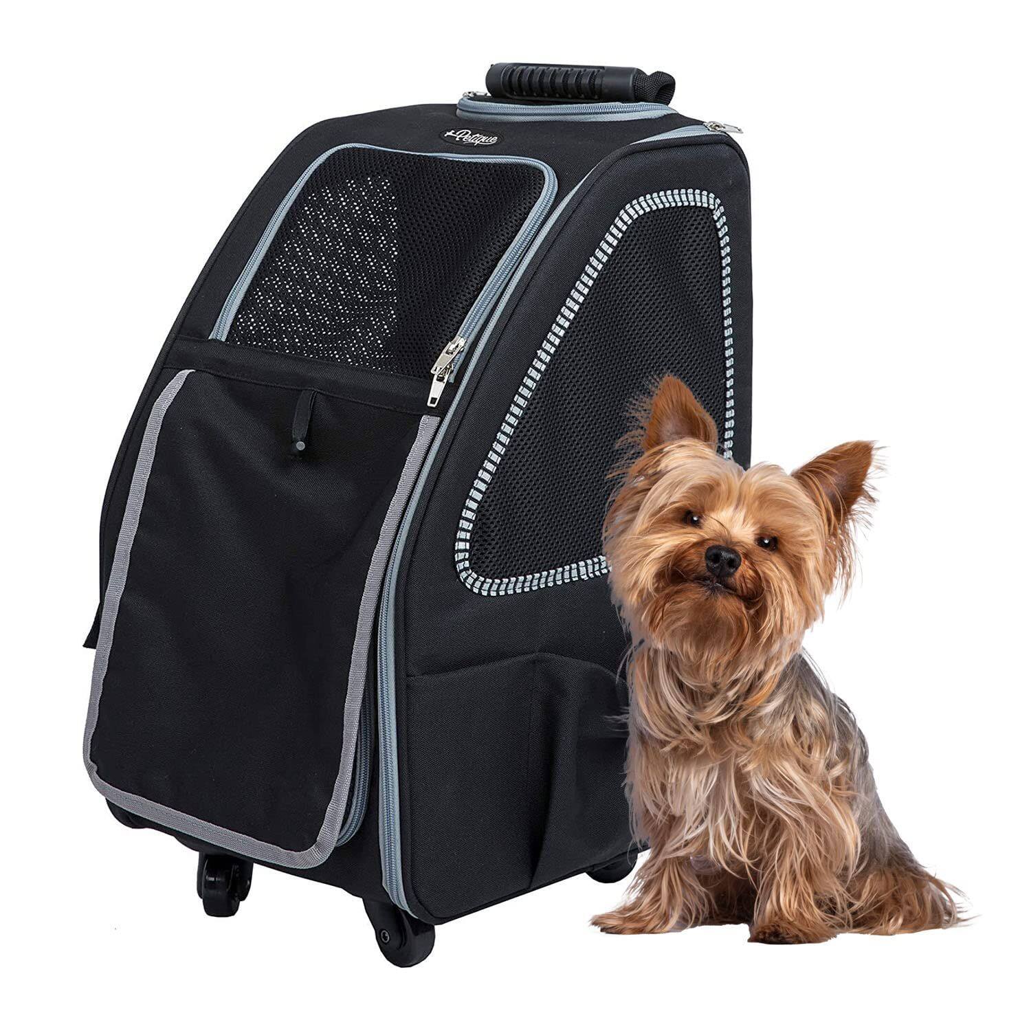 Petique - Pet Carrier, Dog Carrier for Small Size Pets, 5-in-1 Ventilated Carrier Bag for Cats & Dogs - Pepper