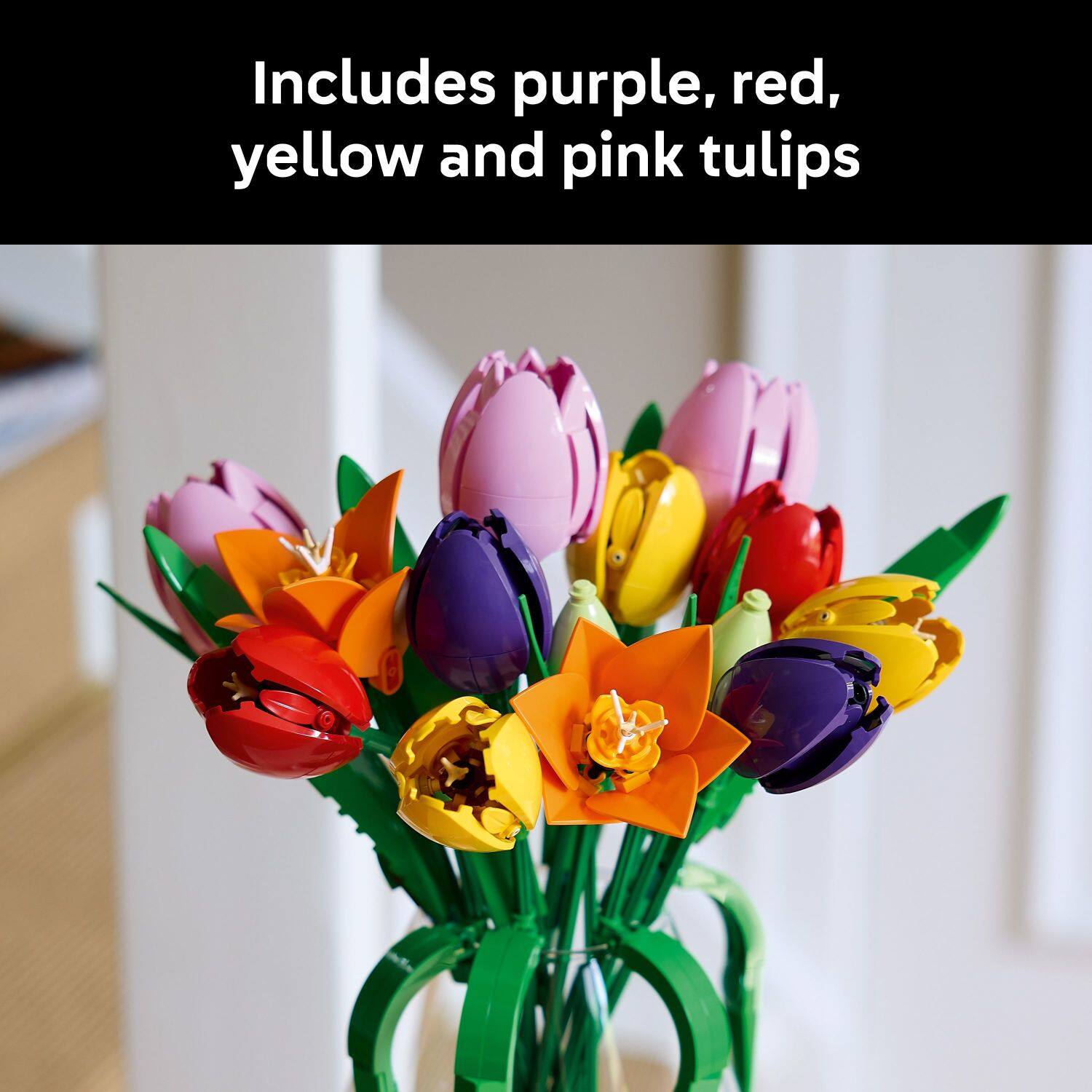 Includes purple, red, yellow and pink tulips