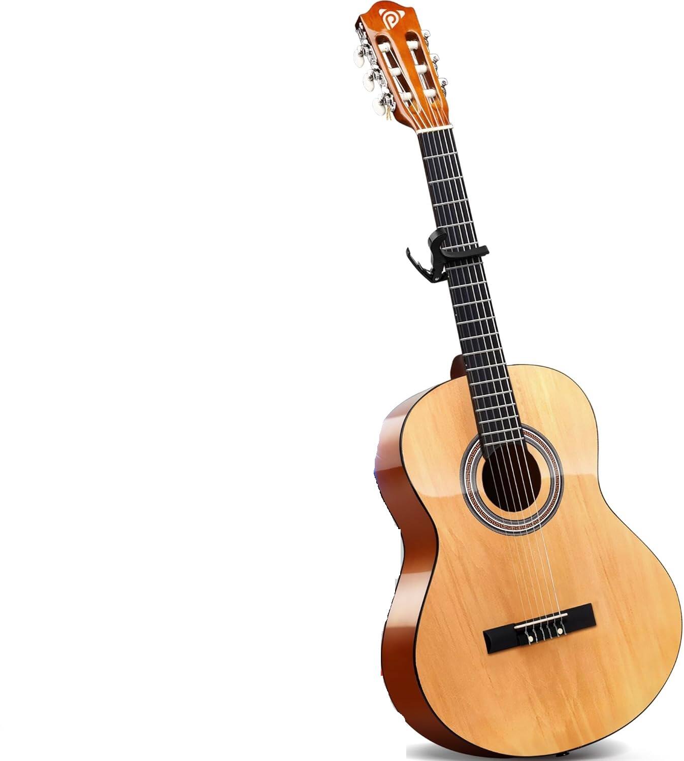 PYLE - Classical Guitar Starter Kit - 30" 1/4th - Brown