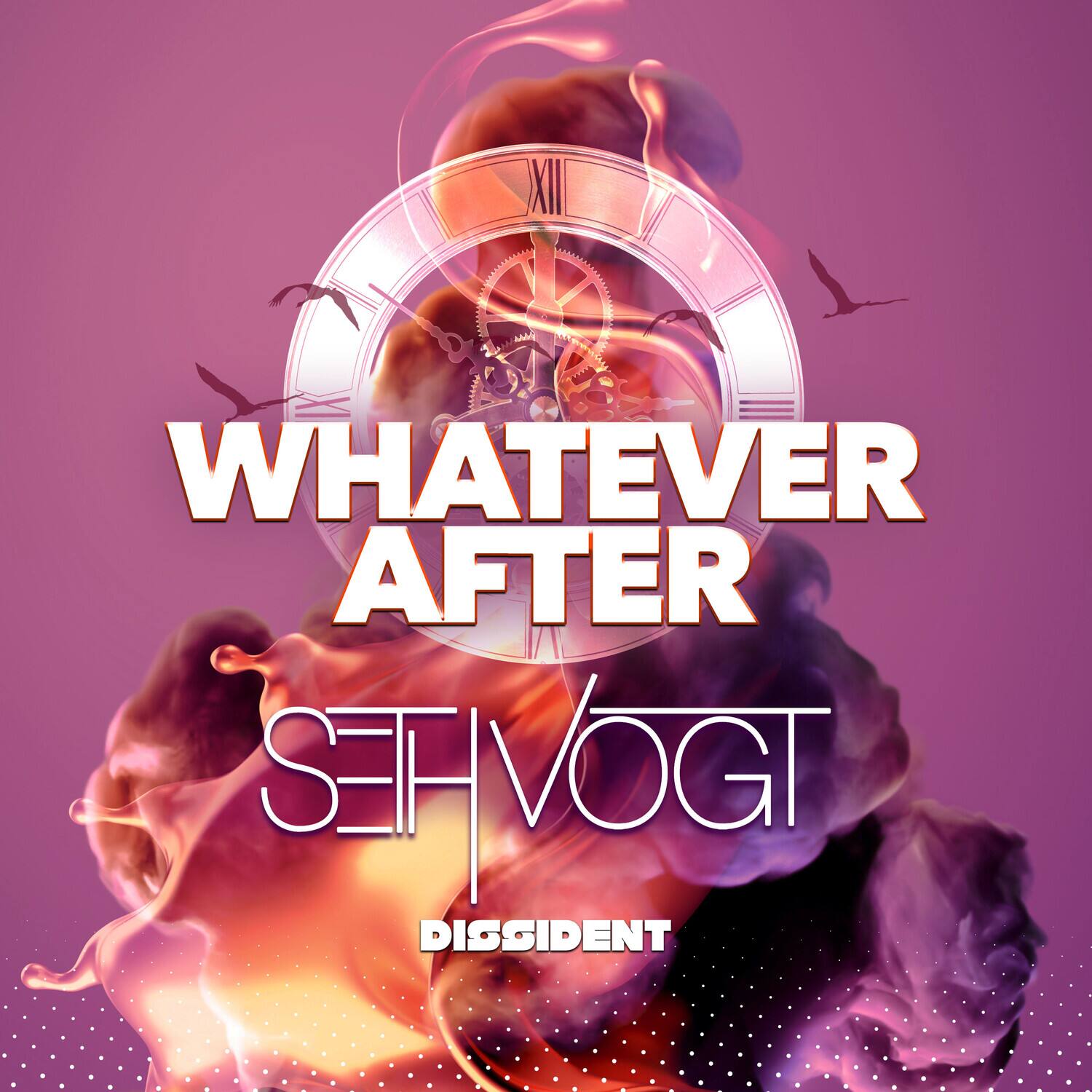 Seth Vogt - Whatever After   - COMPACT DISCS [CD] price history on PriceWatchPro