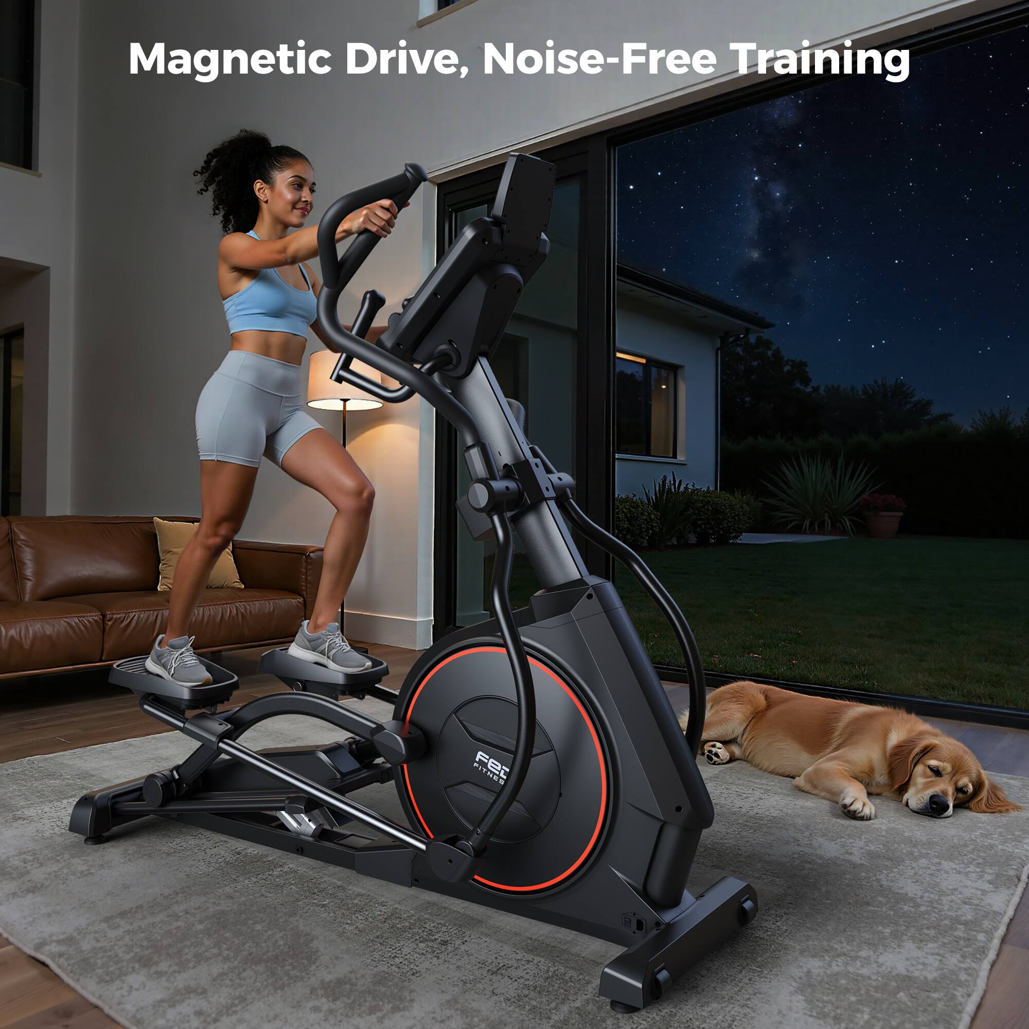 Magnetic Drive, Noise-Free Training