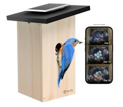 BIRDFY - Smart Bird House, Solar Powered, 1080P HD Live View Bird House w/ Camera, Perfect Viewing Bird Nesting and Hatching - Ebony - Front_Zoom