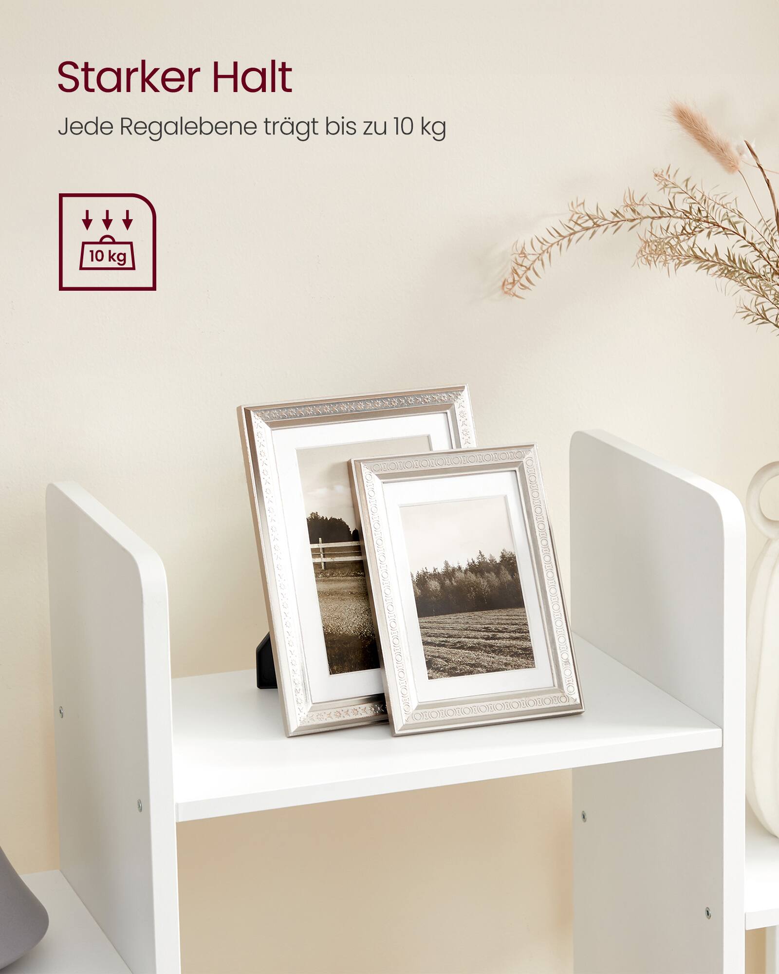 Starker Halt  
Jede Regalebene trägt bis zu 10 kg