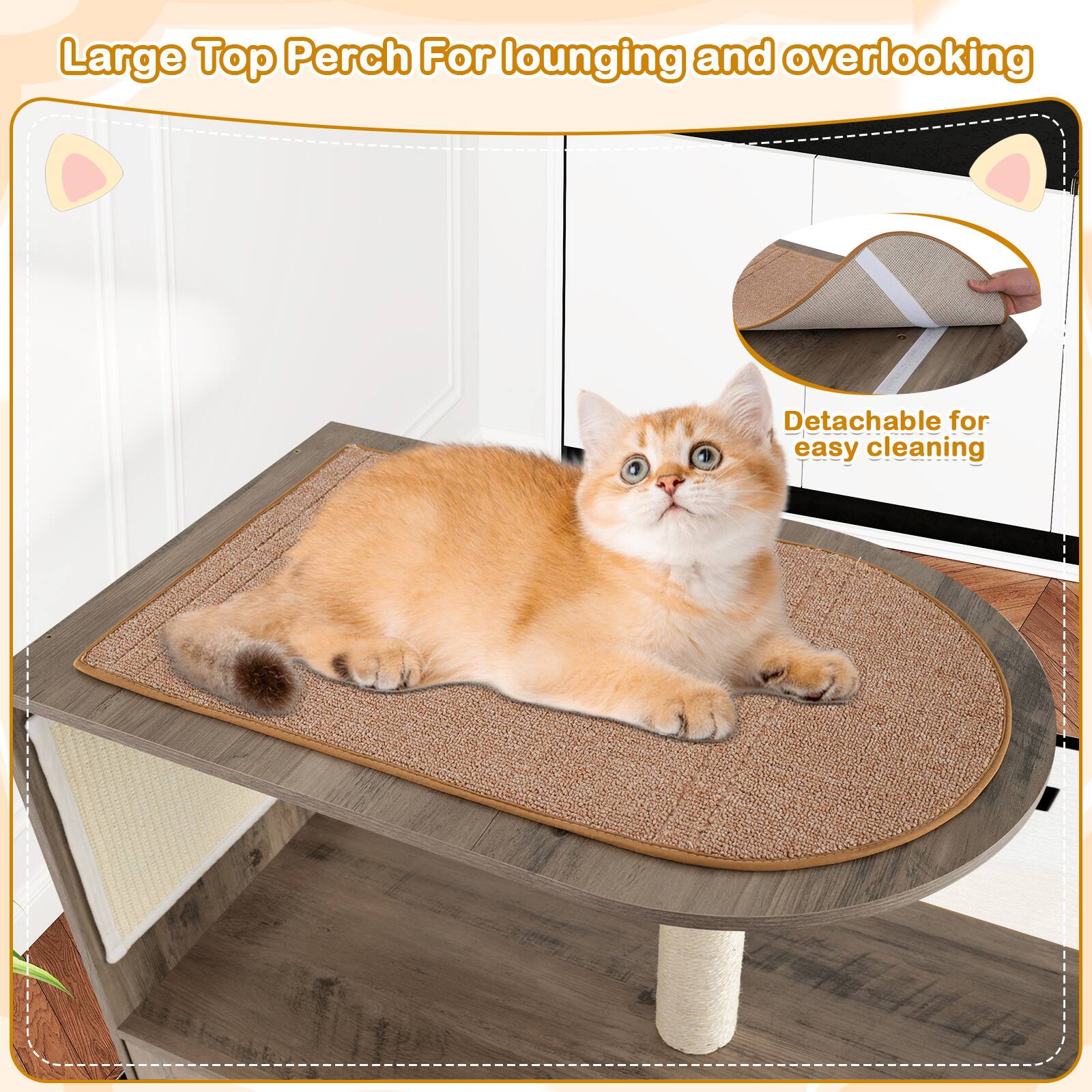 Large Top Perch For lounging and overlooking  
Detachable for easy cleaning