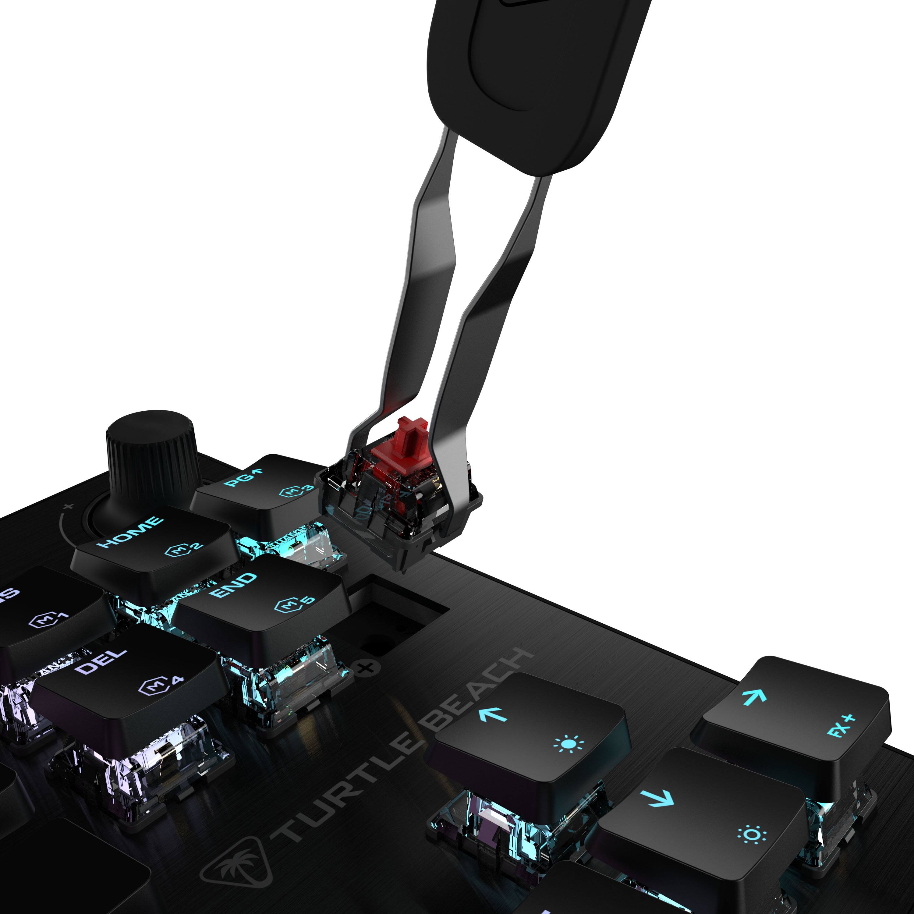 PG Ca HOME 2 1% END 8 W's M 5 M! e a DEL 4 + M BEACH R TURTLE - K FX+