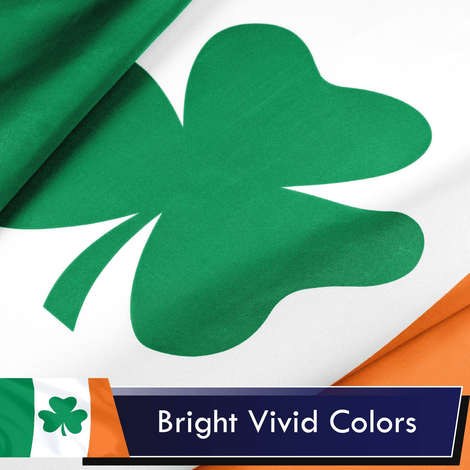 Bright Vivid Colors