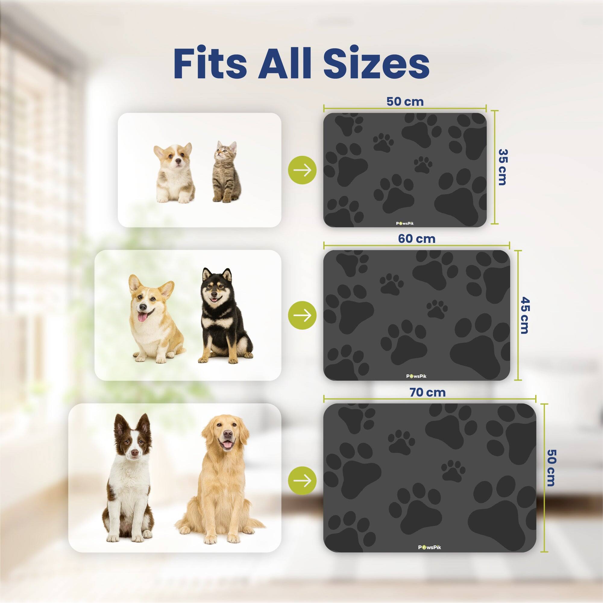 Fits All Sizes

50 cm
35 cm

60 cm
45 cm

70 cm
50 cm