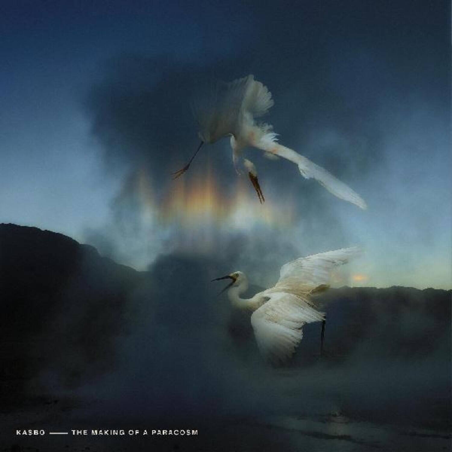 Kasbo - The Making Of A Paracosm   - COMPACT DISCS [CD] price history on PriceWatchPro