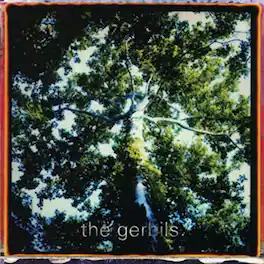 The Gerbils - Are You Sleepy - VINYL LP