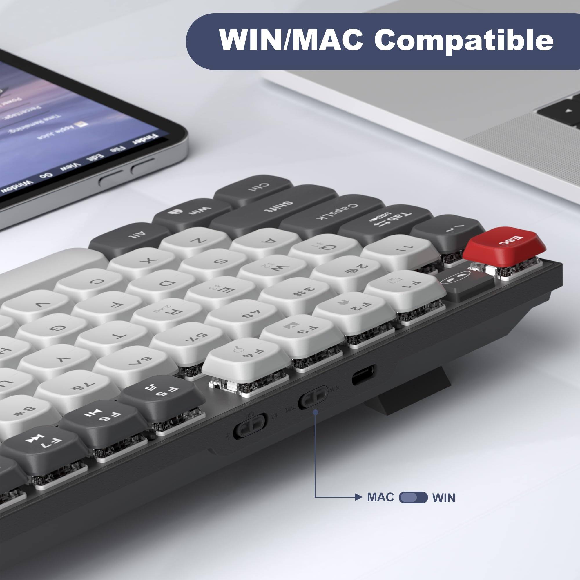 WIN/MAC Compatible

MAC WIN