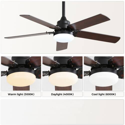 Warm light (3000K)  
Daylight (4000K)  
Cool light (6000K)