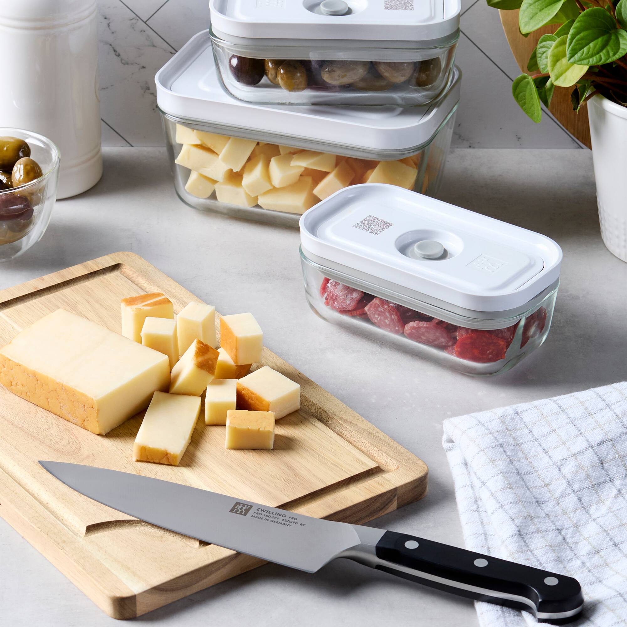 ZWILLING - WILLINS ZwA anase - - PIT - DIRMANT COON