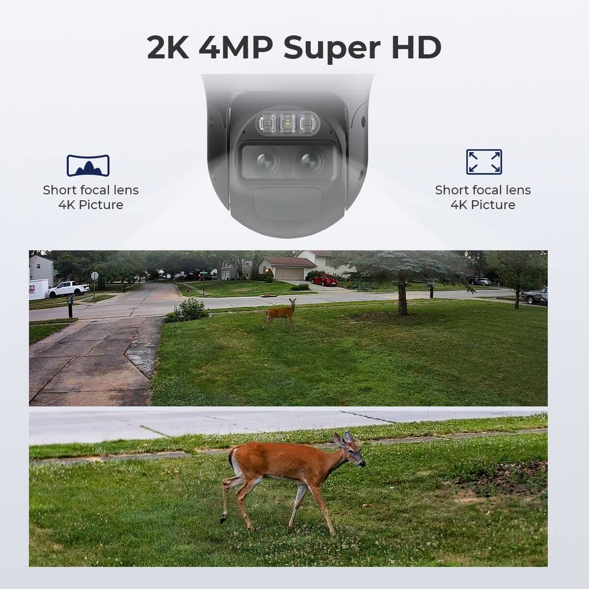 2K 4MP Super HD

Short focal lens 4K Picture

Short focal lens 4K Picture