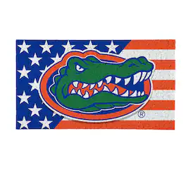 Evergreen Enterprises - Florida Gators 16" x 28" Stars & Stripes Patriotic Turf Mat - Multicolor