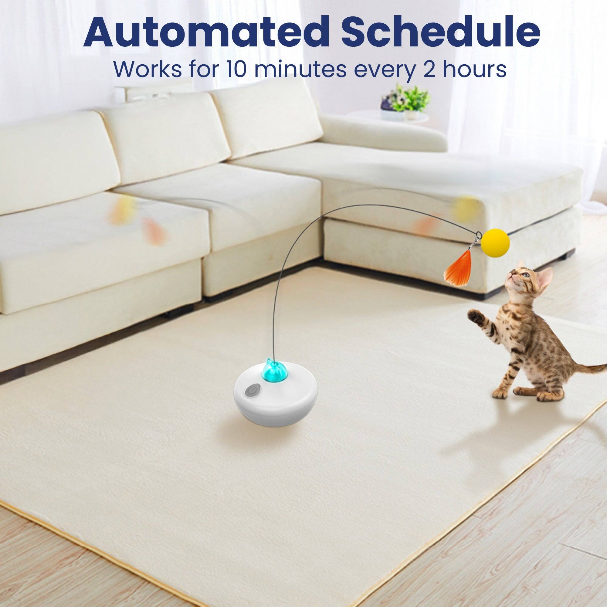 Automated Schedule  
Works for 10 minutes every 2 hours