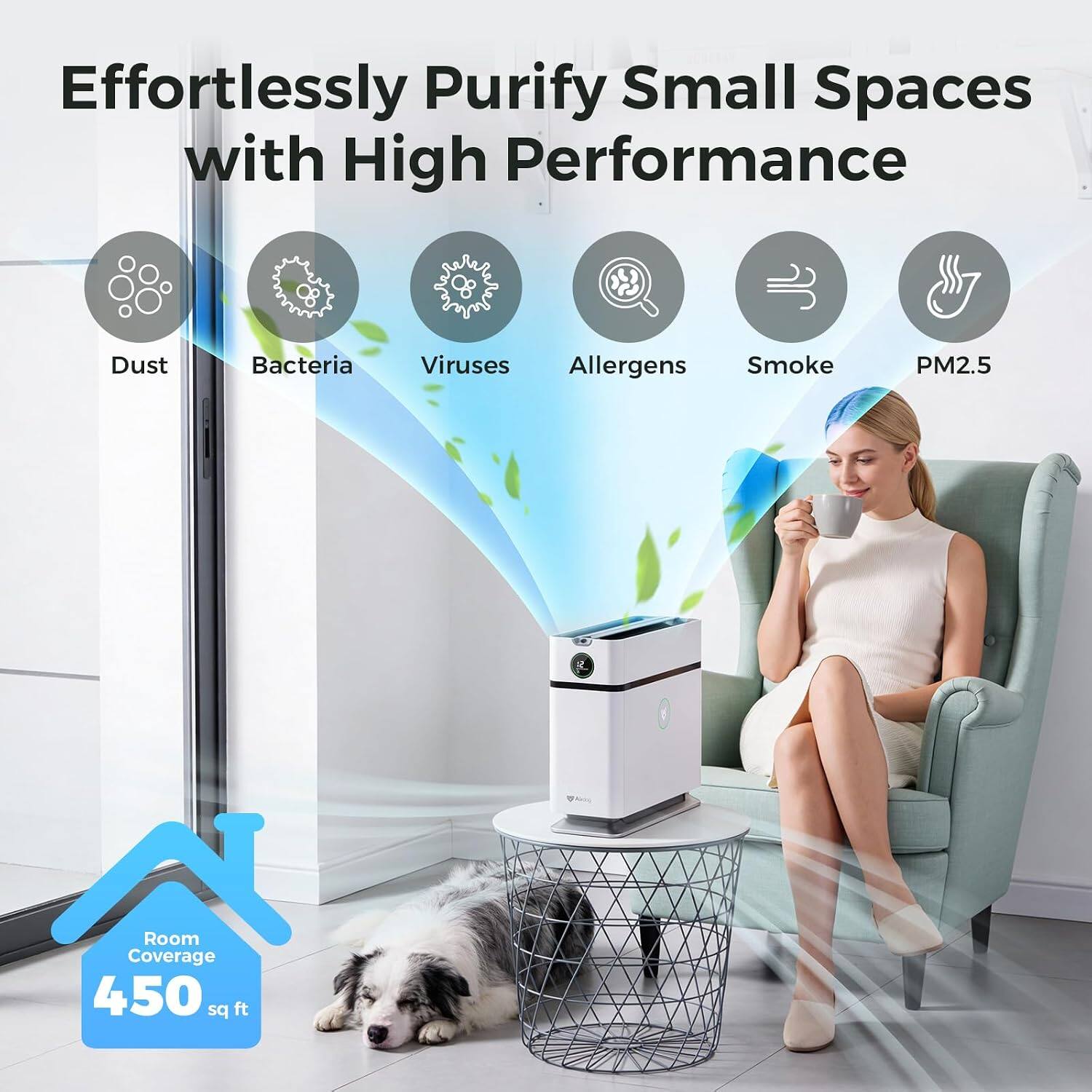Effortlessly Purify Small Spaces with High Performance

- Dust
- Bacteria
- Viruses
- Allergens
- Smoke
- PM2.5

Room Coverage: 450 sq ft