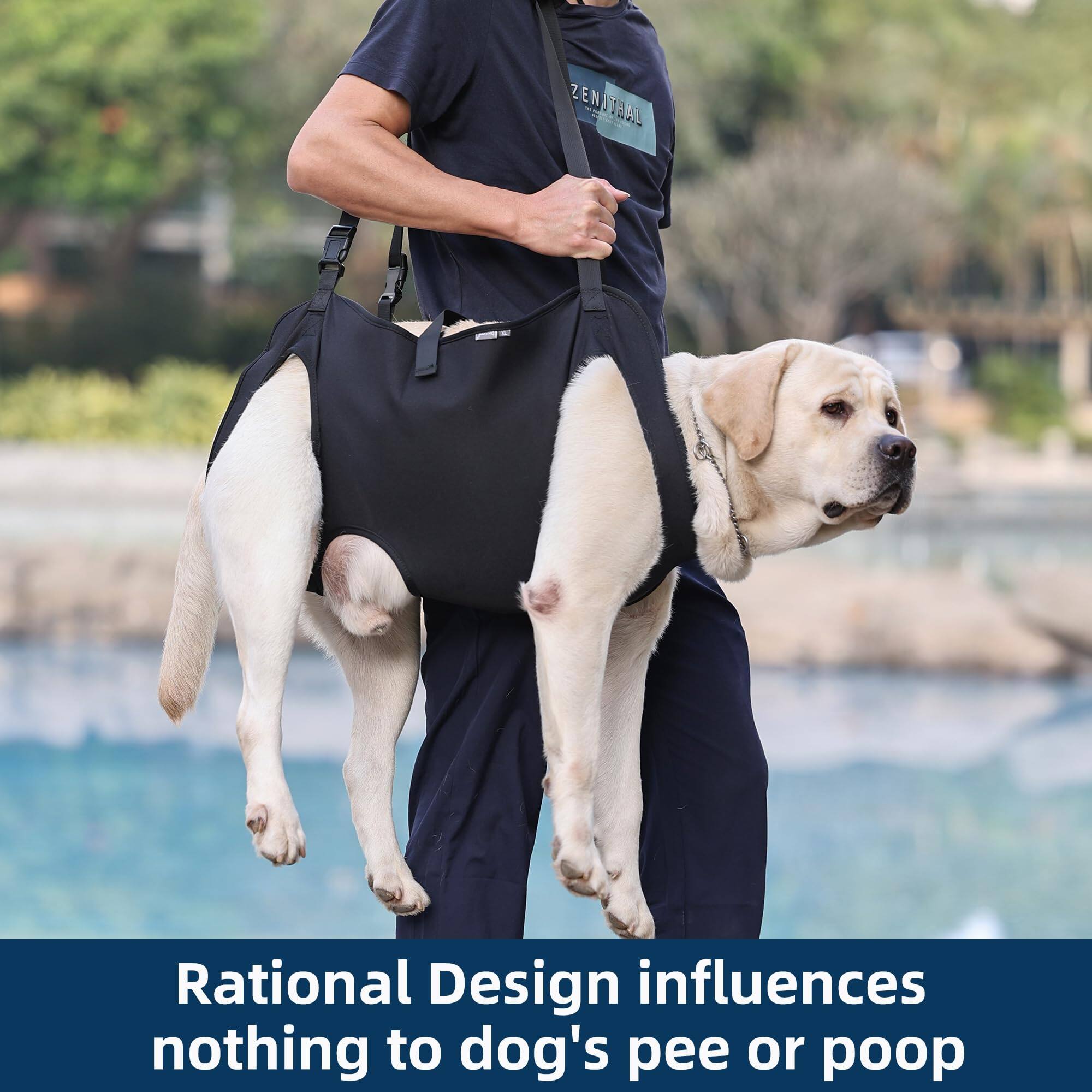 Rational Design influences nothing to dog's pee or poop
