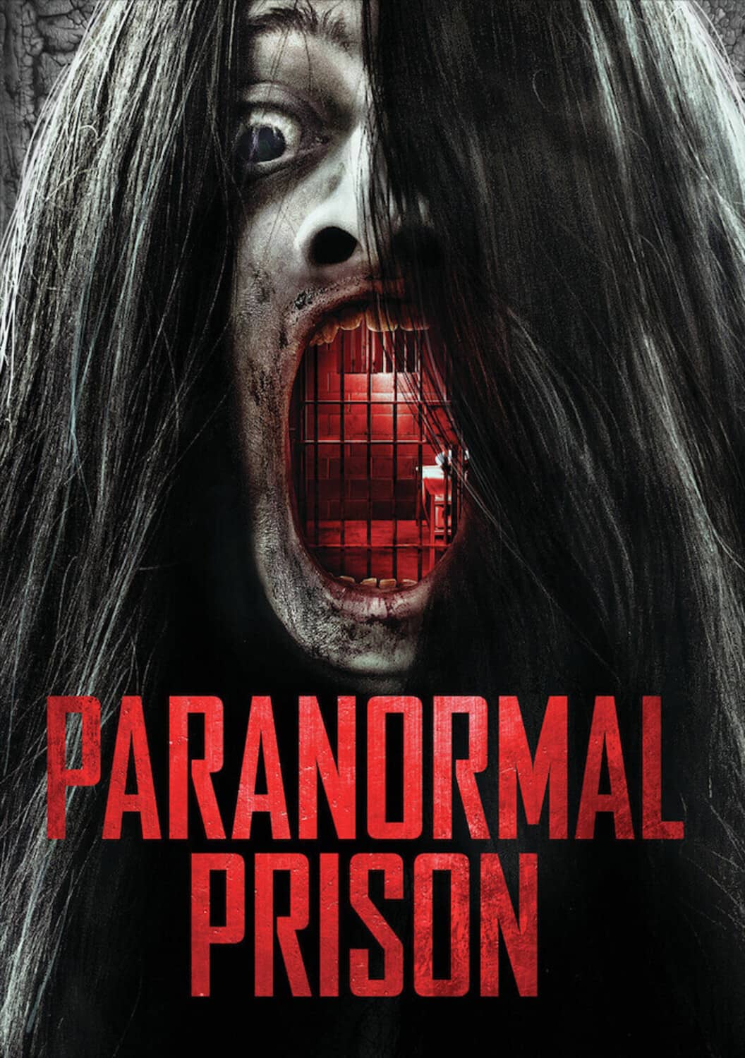 Paranormal Prison  - DVD