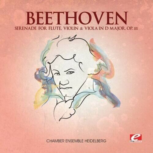 BEETHOVEN  
SERENADE FOR FLUTE, VIOLIN & VIOLA IN D MAJOR, OP. 25  

CHAMBER ENSEMBLE HEIDELBERG