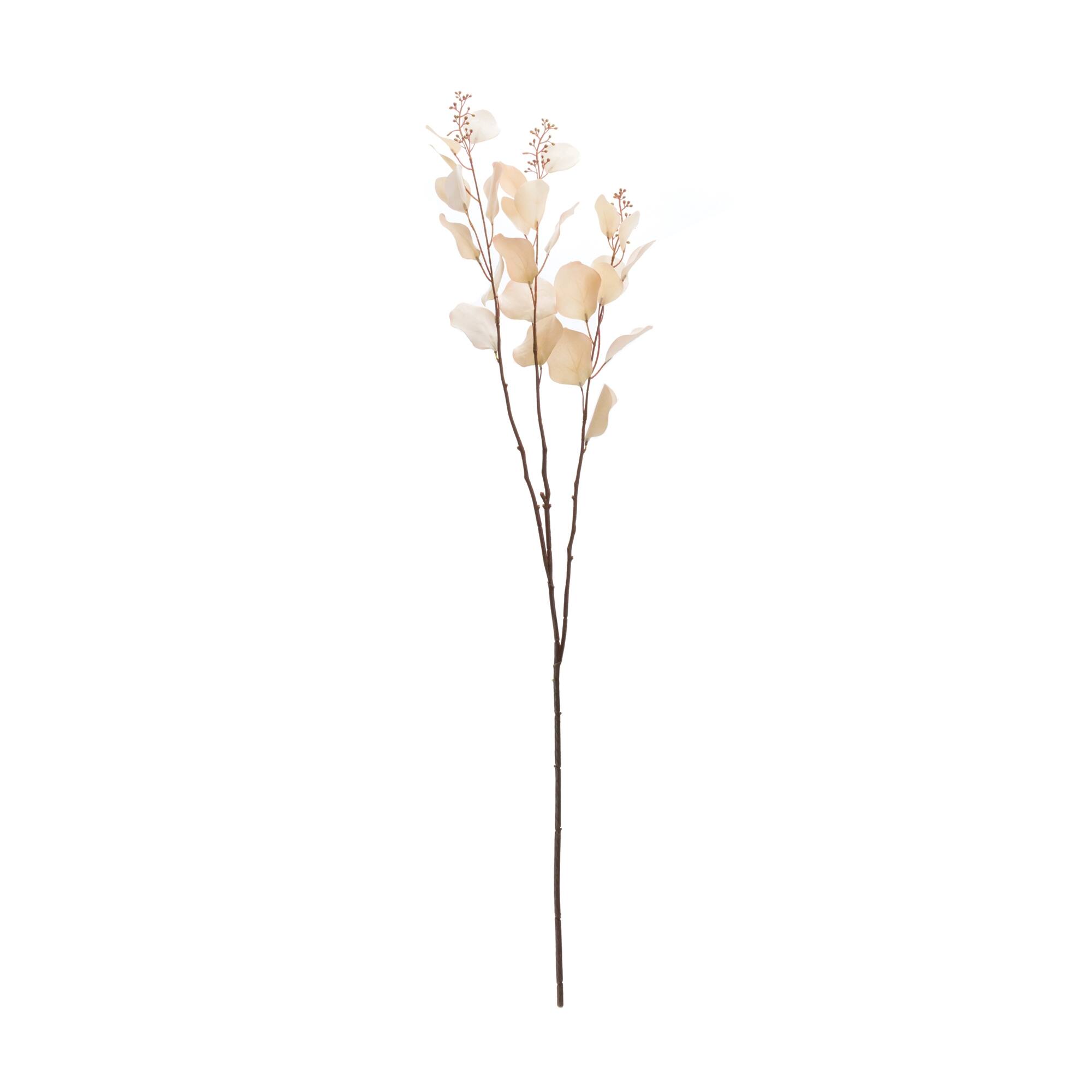 Angle. BreeBe - Seeded Eucalyptus Stem (Set of 2) - Beige.