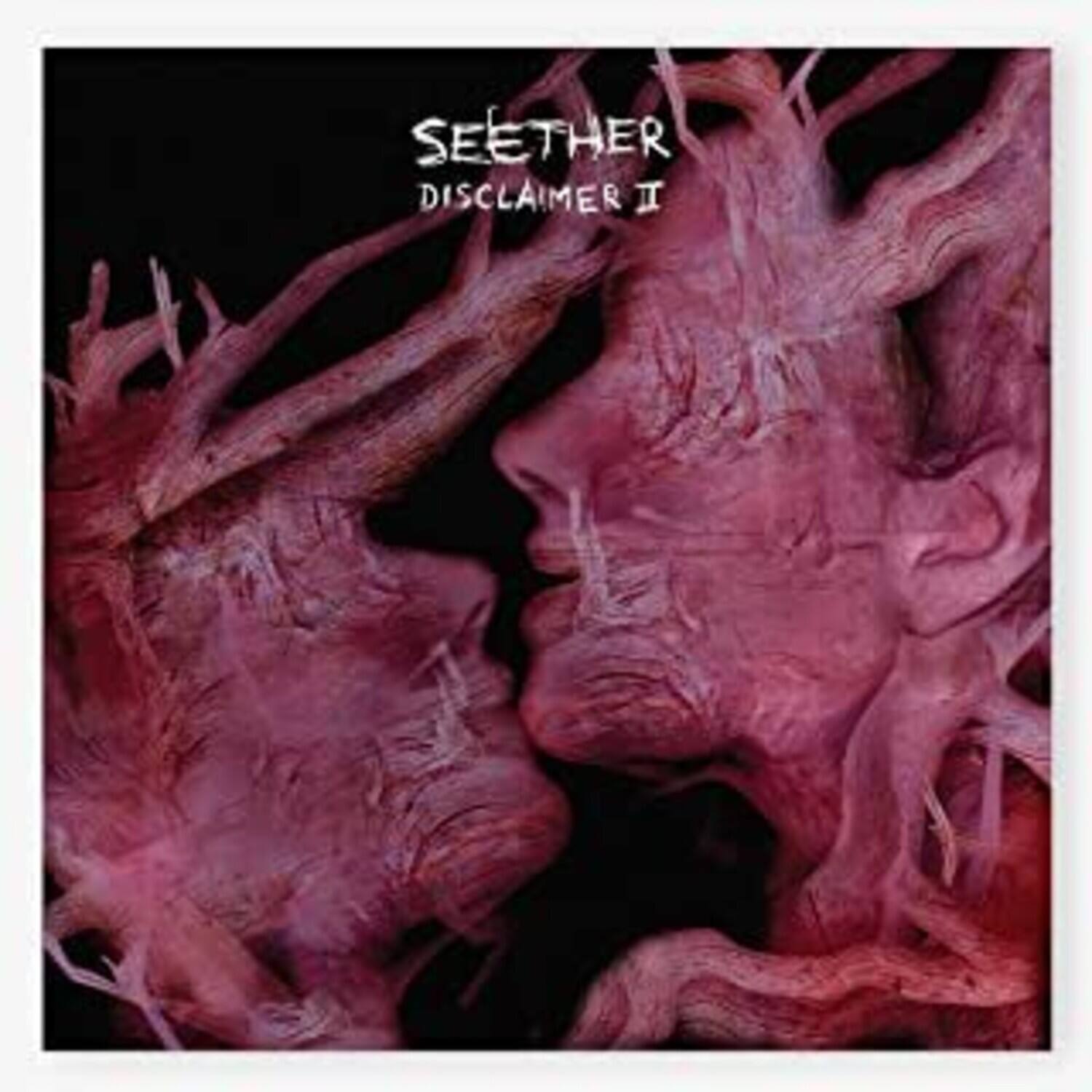 SEETHER  
DISCLAIMER II