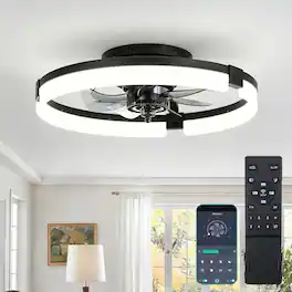 Sweet - 19 Inch Caged Ceiling Fans with Lights Flush Mount with Remote,6 Speeds Reversible Silent Fandalier - Black
