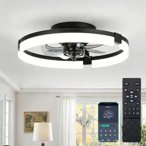 Ceiling Fans